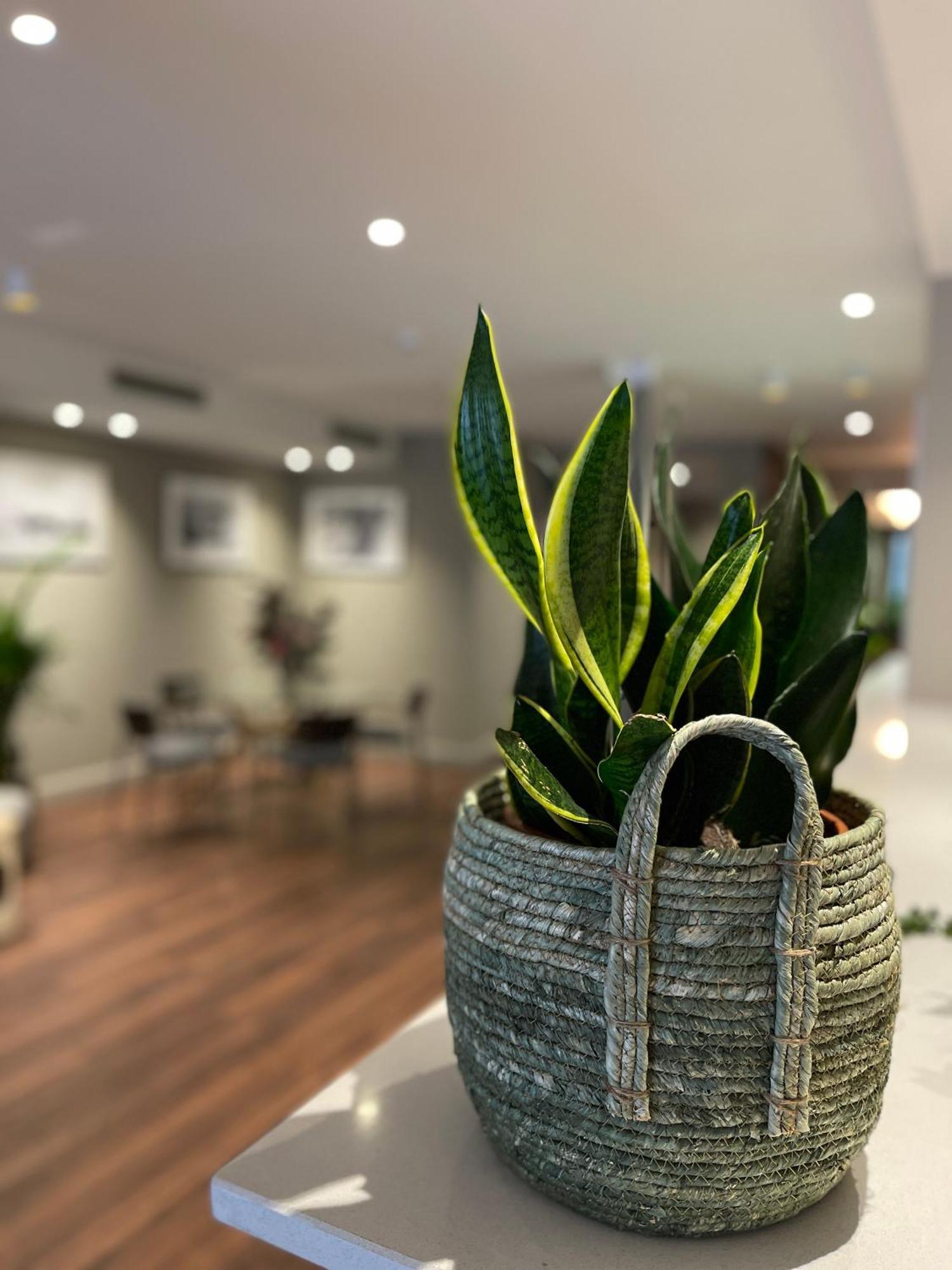 Vtz Hotel San Valero Zaragoza Dış mekan fotoğraf